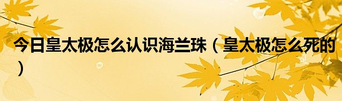 今日皇太极怎么认识海兰珠（皇太极怎么死的）