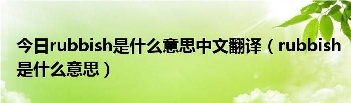 今日rubbish是什么意思中文翻译（rubbish是什么意思）