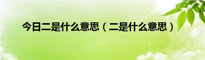 今日二是什么意思（二是什么意思）