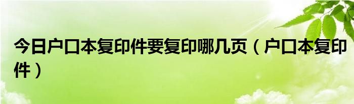 今日户口本复印件要复印哪几页（户口本复印件）