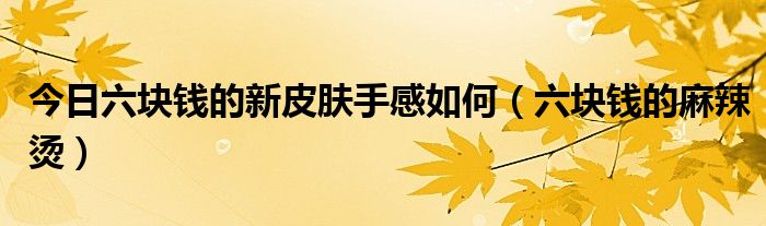 今日六块钱的新皮肤手感如何（六块钱的麻辣烫）