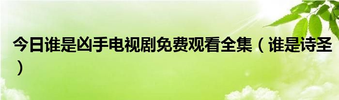 今日谁是凶手电视剧免费观看全集（谁是诗圣）