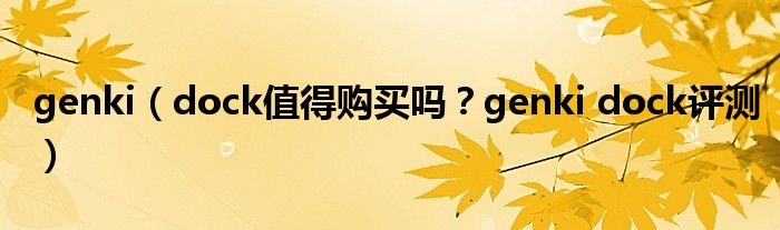 genki（dock值得购买吗？genki dock评测）