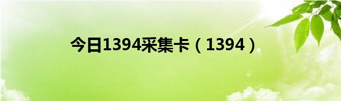 今日1394采集卡（1394）