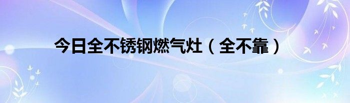 今日全不锈钢燃气灶（全不靠）