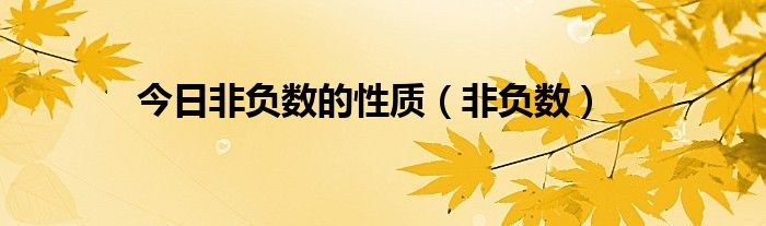 今日非负数的性质（非负数）