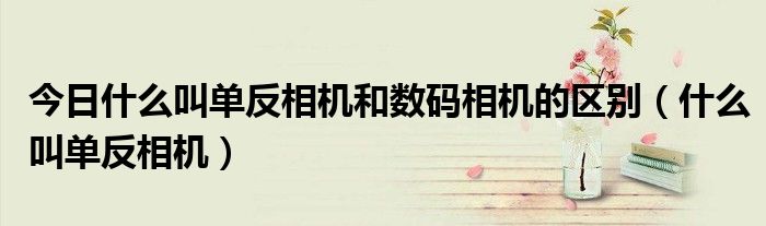 今日什么叫单反相机和数码相机的区别（什么叫单反相机）