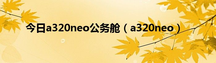 今日a320neo公务舱（a320neo）