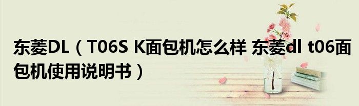 东菱DL（T06S K面包机怎么样 东菱dl t06面包机使用说明书）