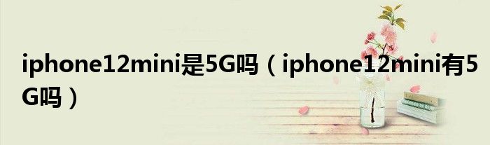iphone12mini是5G吗（iphone12mini有5G吗）