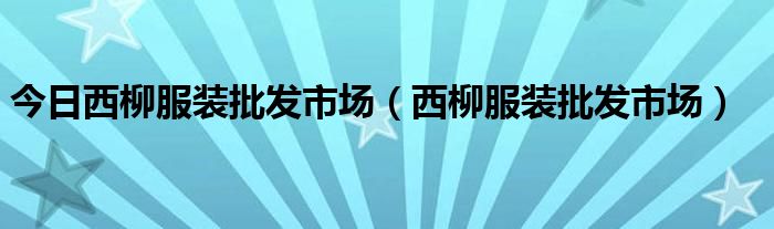 今日西柳服装批发市场（西柳服装批发市场）
