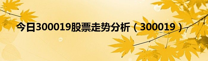 今日300019股票走势分析（300019）