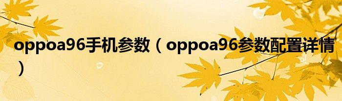 oppoa96手机参数（oppoa96参数配置详情）