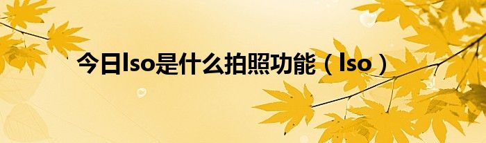 今日lso是什么拍照功能（lso）
