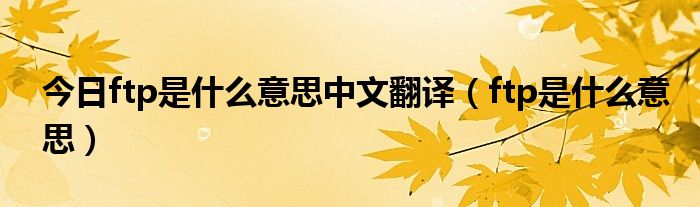 今日ftp是什么意思中文翻译（ftp是什么意思）