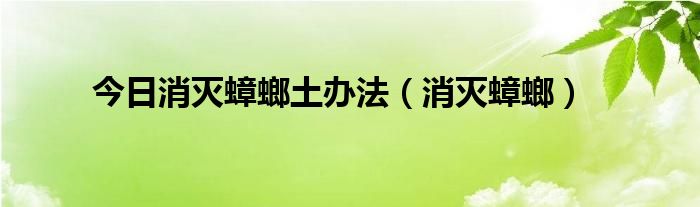 今日消灭蟑螂土办法（消灭蟑螂）