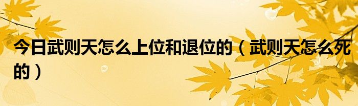 今日武则天怎么上位和退位的（武则天怎么死的）