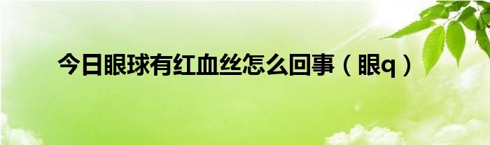 今日眼球有红血丝怎么回事（眼q）