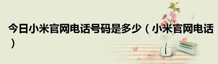 今日小米官网电话号码是多少（小米官网电话）