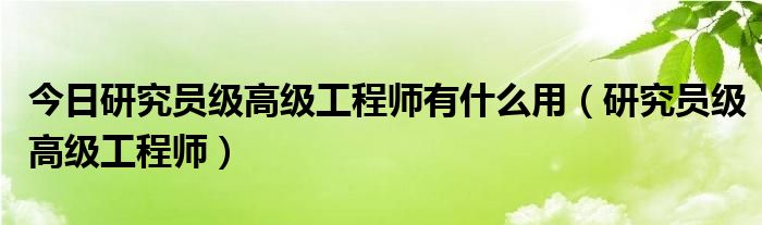 今日研究员级高级工程师有什么用（研究员级高级工程师）