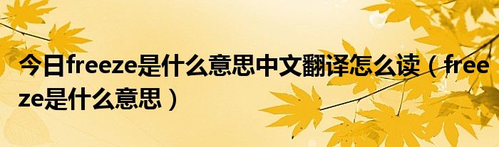 今日freeze是什么意思中文翻译怎么读（freeze是什么意思）