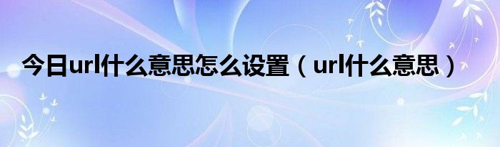今日url什么意思怎么设置（url什么意思）