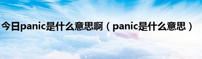 今日panic是什么意思啊（panic是什么意思）