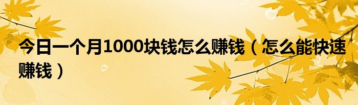 今日一个月1000块钱怎么赚钱（怎么能快速赚钱）