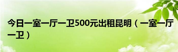 今日一室一厅一卫500元出租昆明（一室一厅一卫）