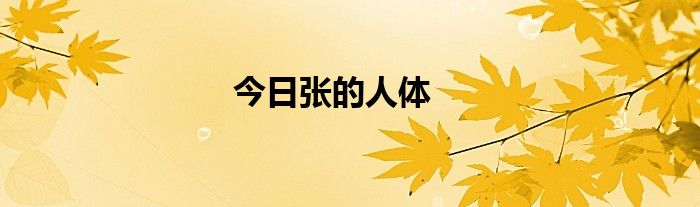 今日张的人体