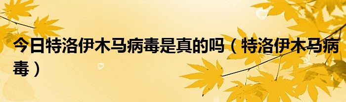 今日特洛伊木马病毒是真的吗（特洛伊木马病毒）