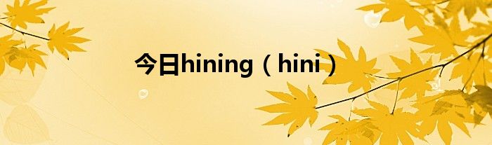 今日hining（hini）
