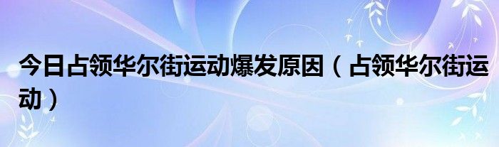 今日占领华尔街运动爆发原因（占领华尔街运动）