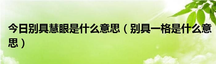 今日别具慧眼是什么意思（别具一格是什么意思）