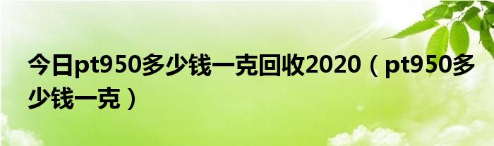 今日pt950多少钱一克回收2020（pt950多少钱一克）