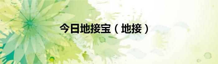 今日地接宝（地接）