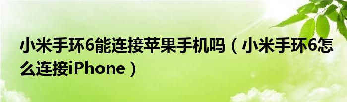 小米手环6能连接苹果手机吗（小米手环6怎么连接iPhone）