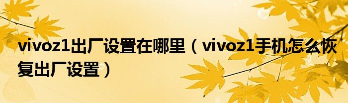 vivoz1出厂设置在哪里（vivoz1手机怎么恢复出厂设置）