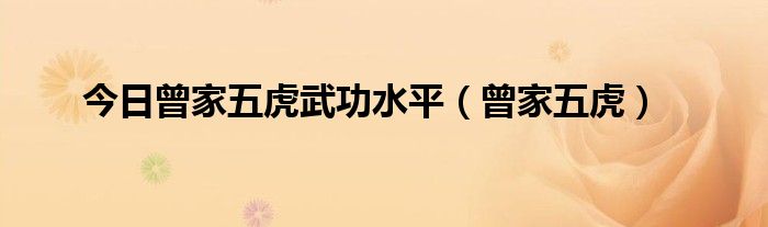 今日曾家五虎武功水平（曾家五虎）