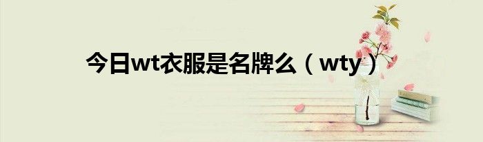 今日wt衣服是名牌么（wty）