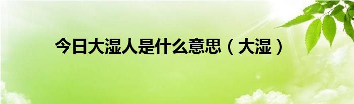 今日大湿人是什么意思（大湿）