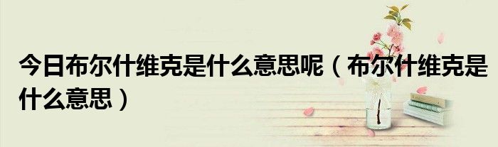 今日布尔什维克是什么意思呢（布尔什维克是什么意思）