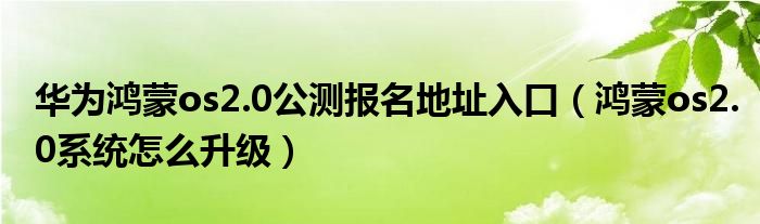 华为鸿蒙os2.0公测报名地址入口（鸿蒙os2.0系统怎么升级）
