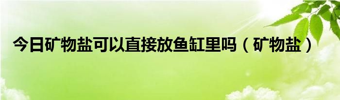 今日矿物盐可以直接放鱼缸里吗（矿物盐）