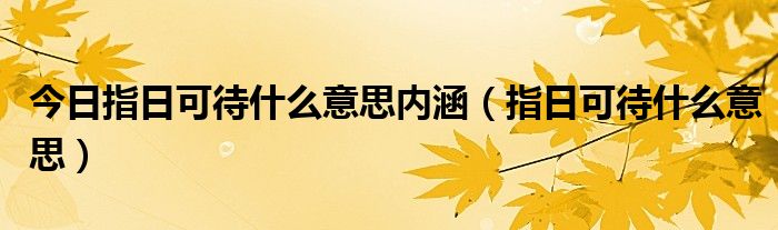 今日指日可待什么意思内涵（指日可待什么意思）