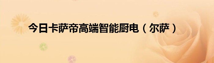 今日卡萨帝高端智能厨电（尔萨）