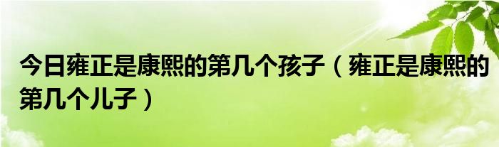 今日雍正是康熙的第几个孩子（雍正是康熙的第几个儿子）