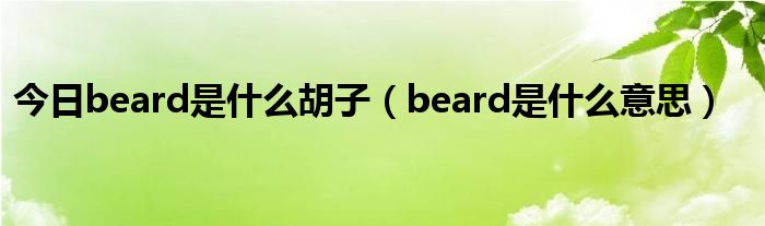 今日beard是什么胡子（beard是什么意思）