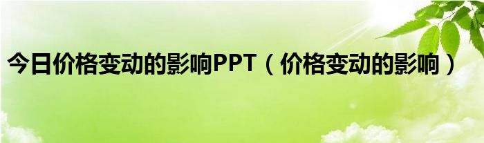 今日价格变动的影响PPT（价格变动的影响）