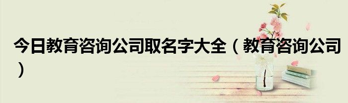 今日教育咨询公司取名字大全（教育咨询公司）